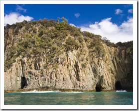 Caves along Fluted Cape