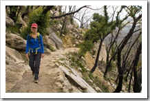 Lisa on her way to Sealers Cove through some charred Eucalypt forest