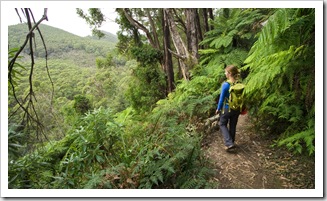 On the way back to Telegraph Saddle from Sealers Cove