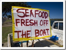 Fresh seafood off the boat