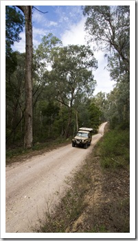 The Tank cruising Yalmy Road to Raymond Creek Falls