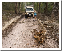 The hot evening played havoc with the track into Raymond Falls