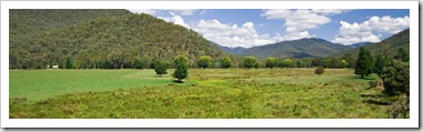 High country pastures near Harrietville