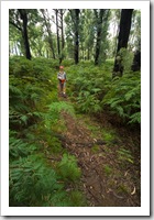 Lisa hiking to Rollasons Falls