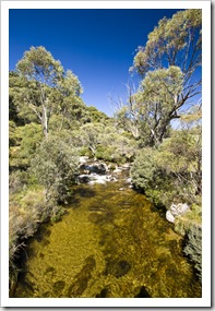 The Thredbo River