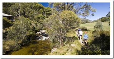 Hiking along the Thredbo River to Dead Horse Gap