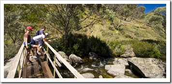 Hiking along the Thredbo River to Dead Horse Gap