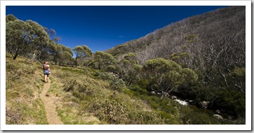 Hiking along the Thredbo River to Dead Horse Gap