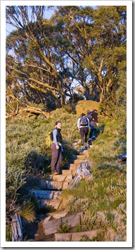 On the way up Merritts Nature Trail just after sunrise