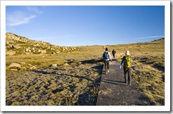 The trail through the high mountain plains