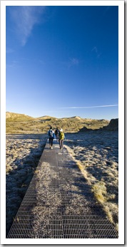 A frosty boardwalk on the way to Mount Kosciuszko