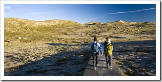 A frosty boardwalk on the way to Mount Kosciuszko