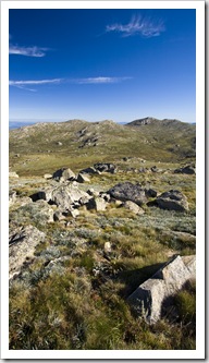 Looking north from Mount Kosciuszko