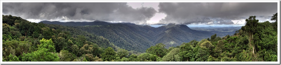 Looking across Dorrigo National Park toward Coffs Harbour in the distance