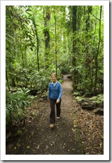 Lisa hiking through the rainforest in Dorrigo National Park