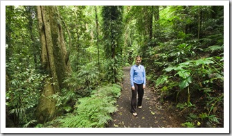 Lisa hiking through the rainforest in Dorrigo National Park