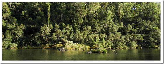 The Nymboida River from our campsite at Platypus Flat