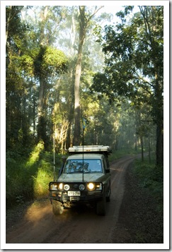The Tank cruising through the rainforest in Nymboi Binderay National Park