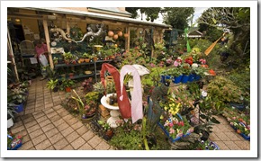 One of the eclectic shops in Maclean