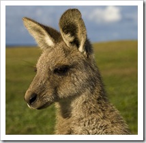 Company at our campsite at Lake Arragan in Yuraygir National Park