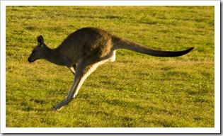 Company at our campsite at Lake Arragan in Yuraygir National Park