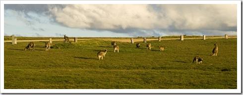 Company at our campsite at Lake Arragan in Yuraygir National Park