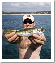 Jarrid and a Yellowtail near Mollymook