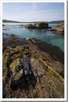 Gear at the ready for a swim at Tomakin