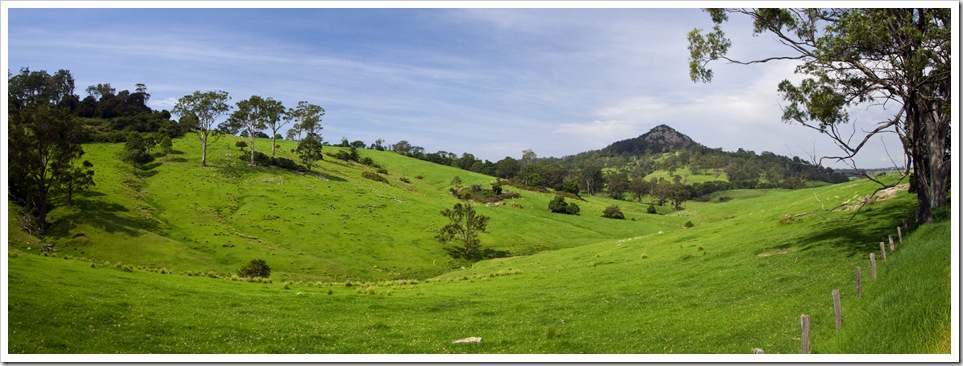 Beautiful cattle country around Tilba Tilba