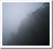 Our view of the escarpment at Fitzroy Falls