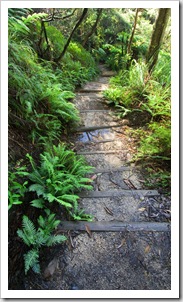 The hiking trail to Leura Cascades