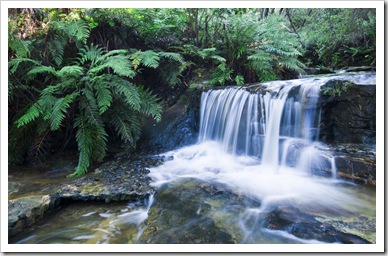 Leura Cascades