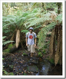 Sam on the Gloucester Falls hike