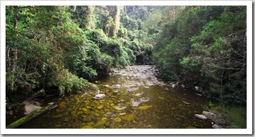 The Gloucester River