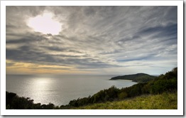 Elizabeth Beach from the Booti Hill Walking Track