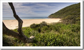 Seven Mile Beach from The Ruins campground in Booti Booti National Park