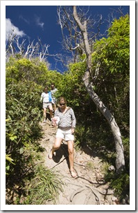 Tackling the hike down to Brays Beach at Broken Head