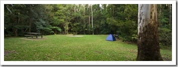 The picturesque rainforest campground at Rummery Park next to Nightcap National Park