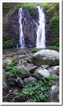 Brushbox Falls in Border Ranges National Park