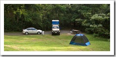Our campground in Border Ranges National Park