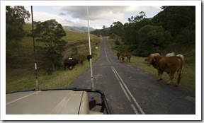 Roadblocks on the Lions Road