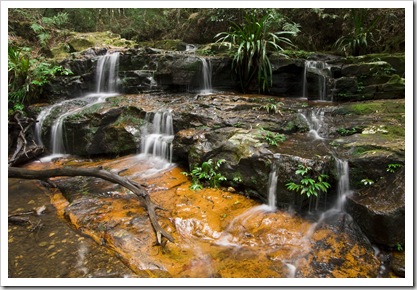 Lamington National Park: cascades along the track to Ballanjui Falls