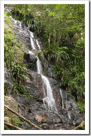 Lamington National Park: cascades along the track to Ballanjui Falls