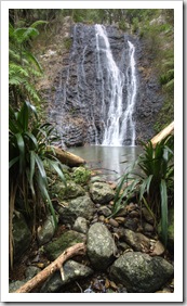 Lamington National Park: cascades along the track to Ballanjui Falls