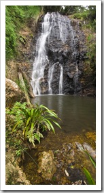 Lamington National Park: Ballanjui Falls