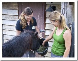 Branell Homestead: feeding Angel the miniature pony