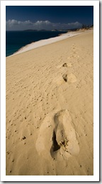 Carlo Sand Blow at Rainbow Beach