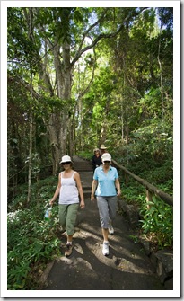 Lisa and Jenni hiking to Kondalilla Falls