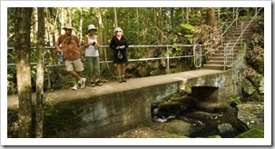 Randy, Gail and Lisa at Picnic Creek Falls
