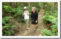 Gail and Lisa on the Kondalilla Falls Circuit